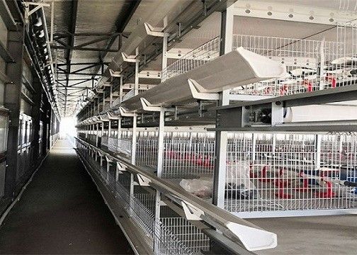 OEM/ODM van het het Landbouwbedrijfgevogelte van de Staalstructuur Geprefabriceerd de Kippenhuis Laag