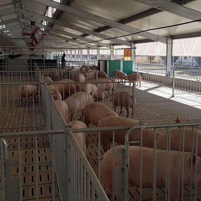 Lichtgewicht het Varkenshuis Gegalvaniseerde Prefab Landbouwgebouwen van de Staalstructuur