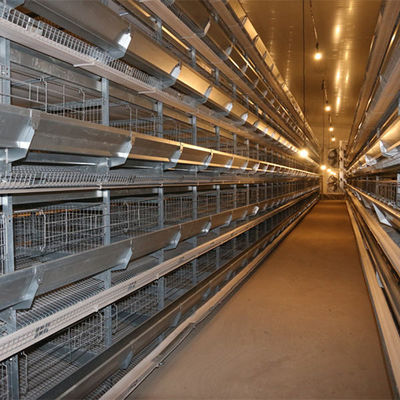 Lichtgewicht van het het Landbouwbedrijf Vuurvast Staal van de Staalstructuur het Gevogeltehuis GB