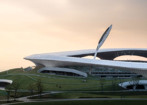 Aangepast van het het Stadionq355 Prefabmetaal van de Staalstructuur de Gebouwengymnasium