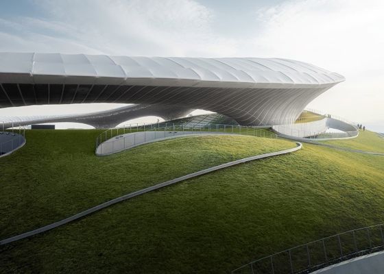 Aangepast van het het Stadionq355 Prefabmetaal van de Staalstructuur de Gebouwengymnasium