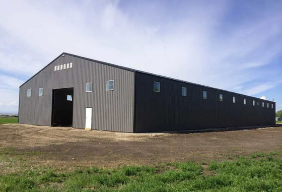 Prefab Industriële het Pakhuis Wind Antiroest van de Staalstructuur
