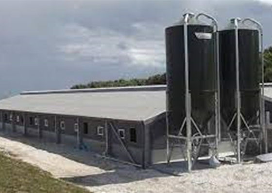 Prefab van de de Structuurbouw van het Staal Poortkader Wind het Varkenshuis