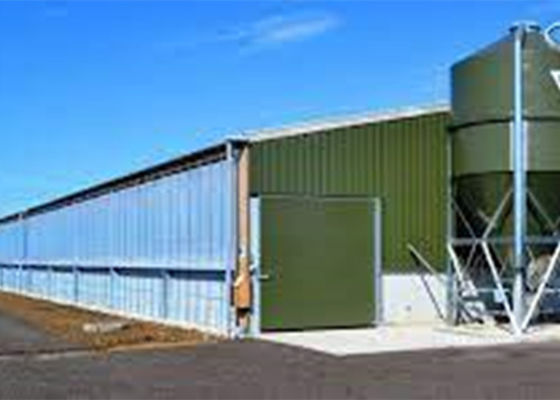 Prefab van de de Structuurbouw van het Staal Poortkader Wind het Varkenshuis