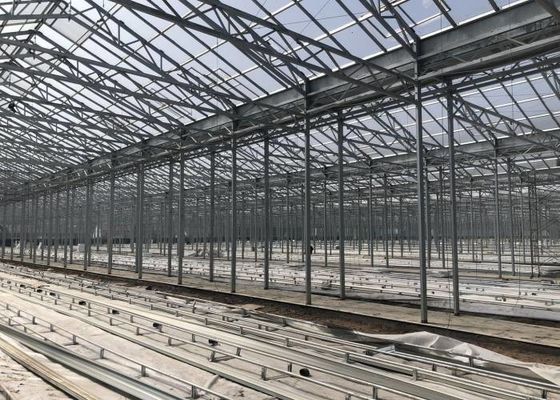 Groene plantentuin Gehard glazen kas voor grote sierbloemen