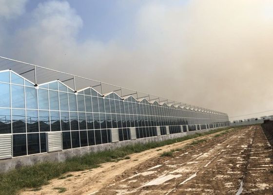 Groene plantentuin Gehard glazen kas voor grote sierbloemen