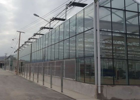 Het hoogwaardige Gegalvaniseerde het Glas van de Pijpserre Commercieel Behandelen