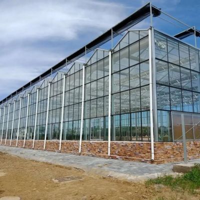 Het plantaardige het Glasserre van de Cultuur Soilless Cultuur Multilayer Planten