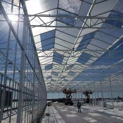 Het plantaardige het Glasserre van de Cultuur Soilless Cultuur Multilayer Planten