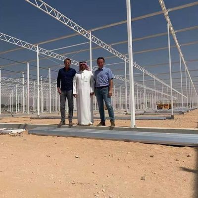 Het plantaardige het Glasserre van de Cultuur Soilless Cultuur Multilayer Planten