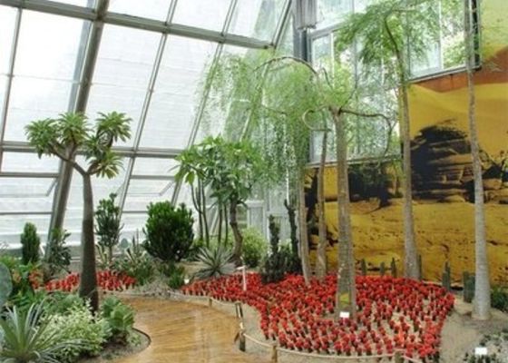 Wintertuin Zonlichtkamer Kleine Stalen Venlo Glazen Kas Relaxed