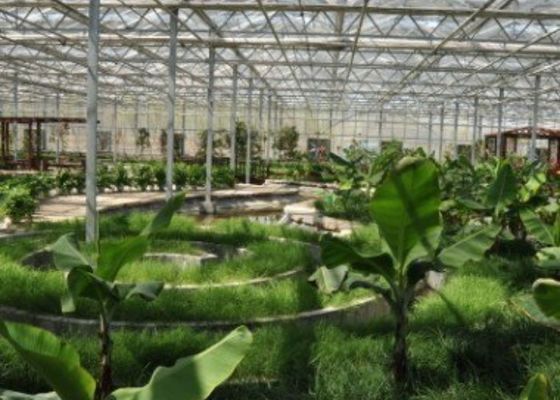 Het gegalvaniseerde Pijp Restaurant Douane Gevormde 4600㎡ van de Sightseeingsserre