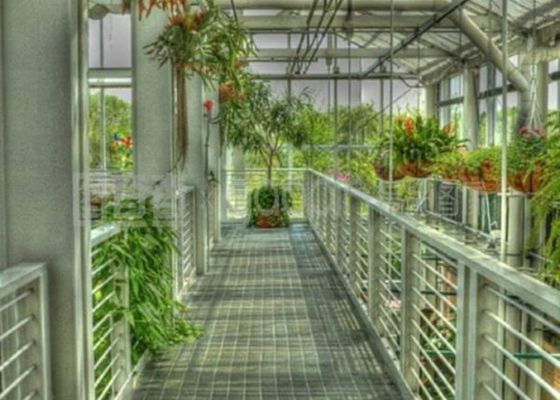 Het gegalvaniseerde Pijp Restaurant Douane Gevormde 4600㎡ van de Sightseeingsserre