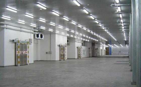 Staalconstructie Gebouw lichtgewicht Staalwerkplaats