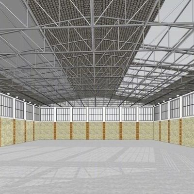 Q355B/Q235B Staal frame constructie kraan ontworpen volgens uw specificaties