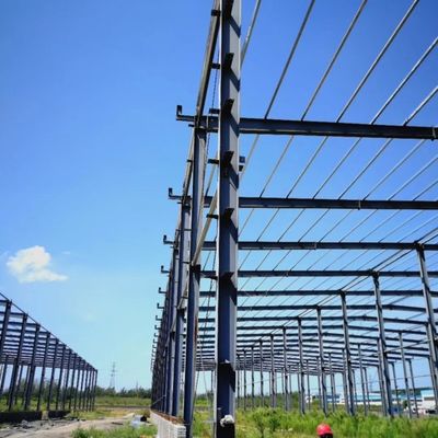Professionele industriële gebouwen, voorgefabriceerde staalconstructies