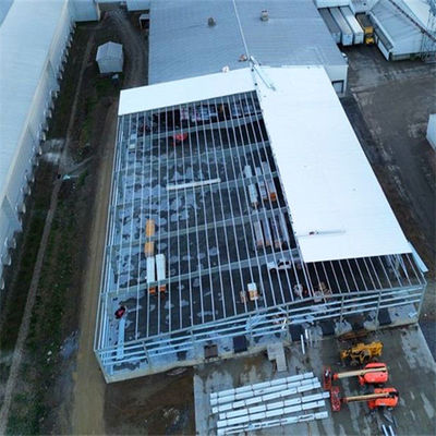 Q355/ Q235 Werkplaats voor staalconstructies met C-sectie / Z-sectie staalplaten