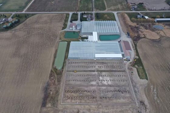 Wenluo Sightseeing Glass Greenhouse - Grootschalige groentenbeplanting kas