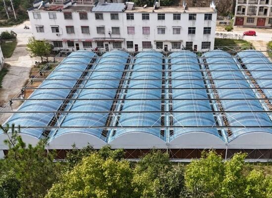 Een polyethyleenfilmploeistof met een continue spanning die wordt gebruikt om de groentenopbrengst te verhogen en het rijpingsproces van groenten te versnellen