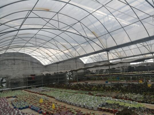 Een polyethyleenfilmploeistof met een continue spanning die wordt gebruikt om de groentenopbrengst te verhogen en het rijpingsproces van groenten te versnellen