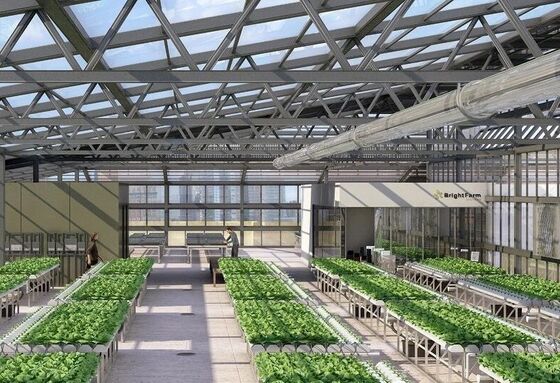 Een polyethyleenfilmplanthuis voor de teelt van bloemen van hoge kwaliteit