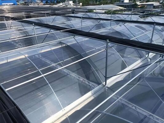 Wenlu Toeristische Glaskas - Grootschalige Groenkas voor Fruitplanting