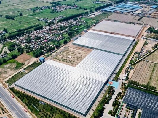 Groenhuis voor de teelt van vruchten, groots Woonloos-glasher