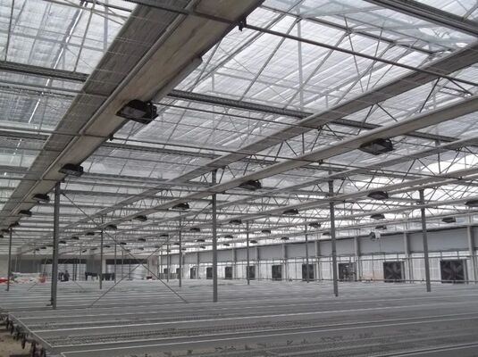 Groenhuis voor de teelt van vruchten, groots Woonloos-glasher