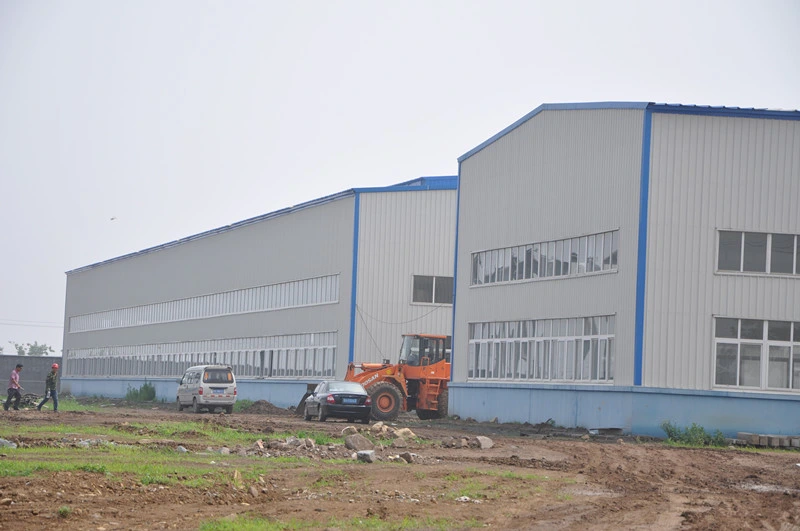 H de Structuur van het Sectiestaal de Bouwworkshop Aangepaste Dimensie 2